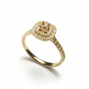 טבעת לשיבוץ הלסינקי