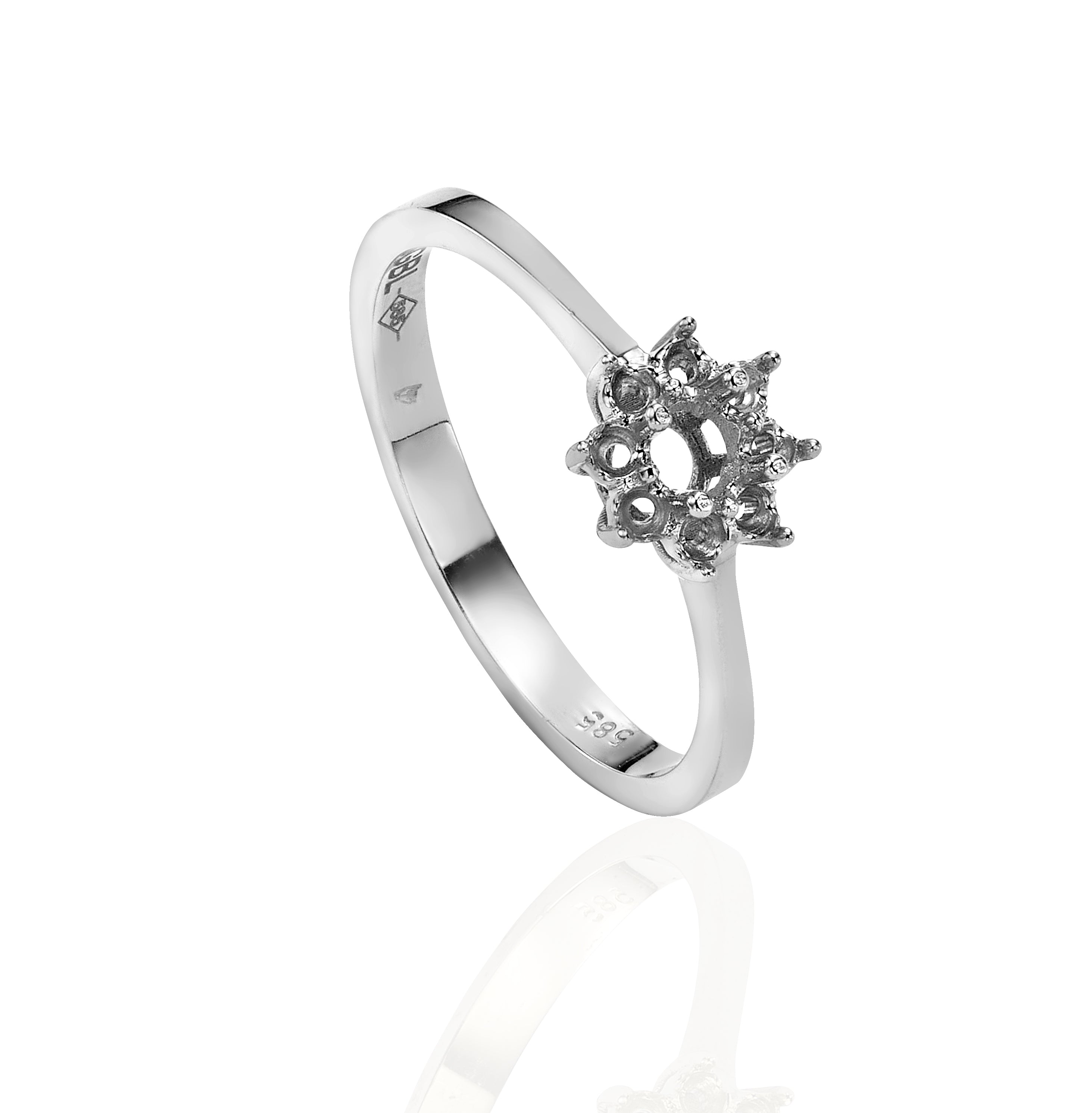 טבעת לשיבוץ ריגה