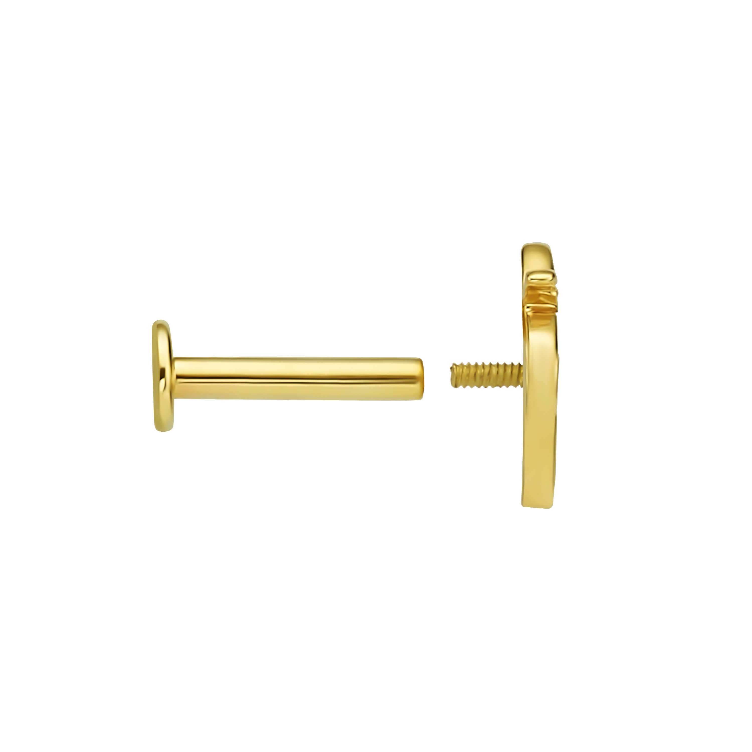 פירסינג עץ דקל עם אבן